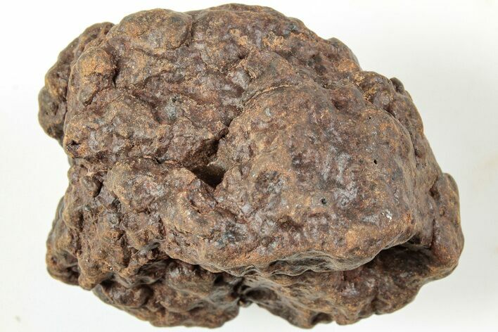 Chondrite Meteorite ( g) - Western Sahara Desert #233220